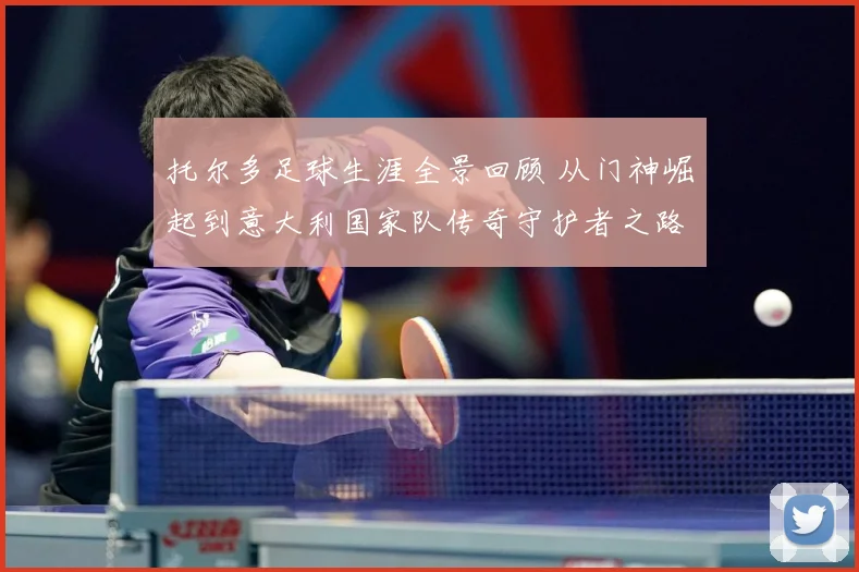 托尔多足球生涯全景回顾 从门神崛起到意大利国家队传奇守护者之路