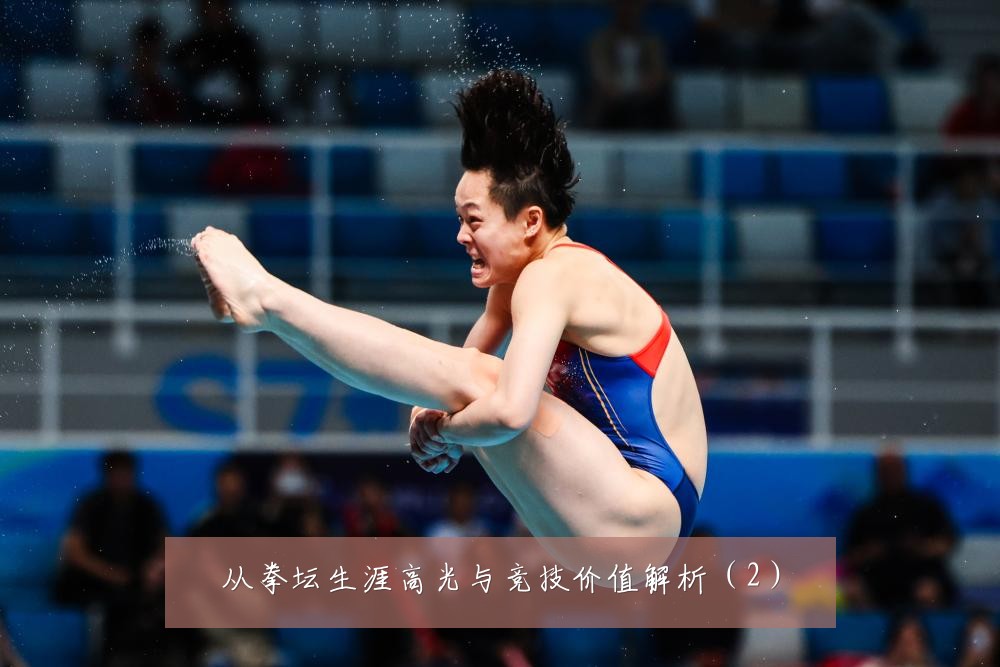 从拳坛生涯高光与竞技价值解析（2）