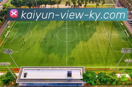 开云平台生态图